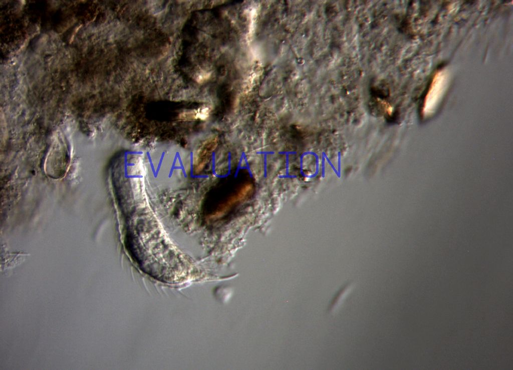 Illuminazione laterale